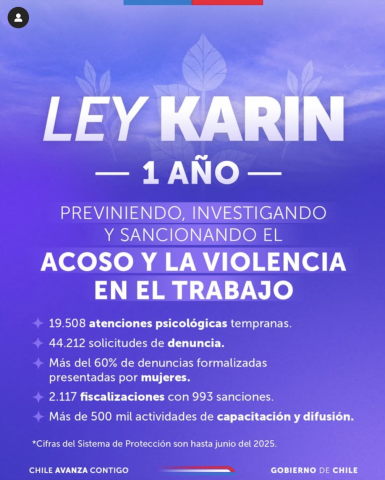 ley karin